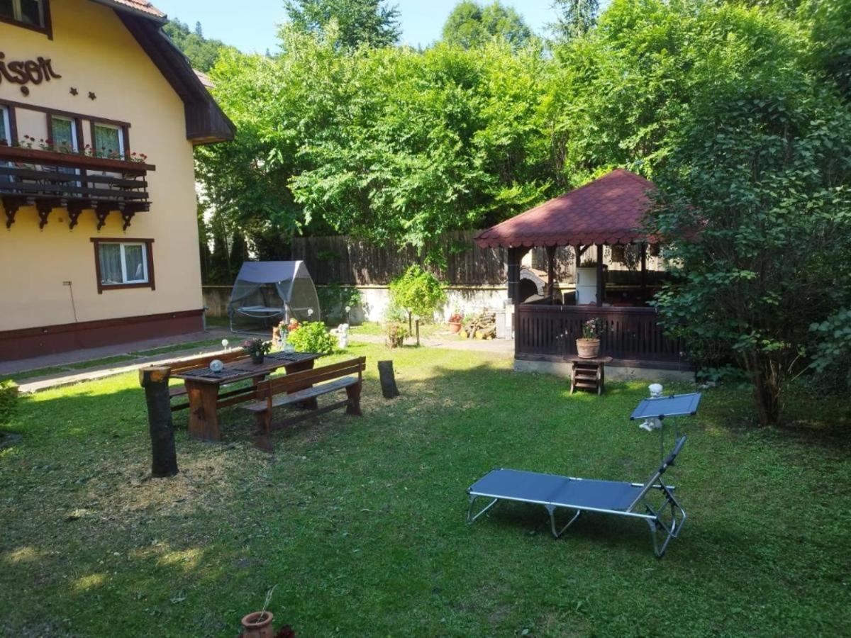 Villa Foisor Buşteni Exterior foto