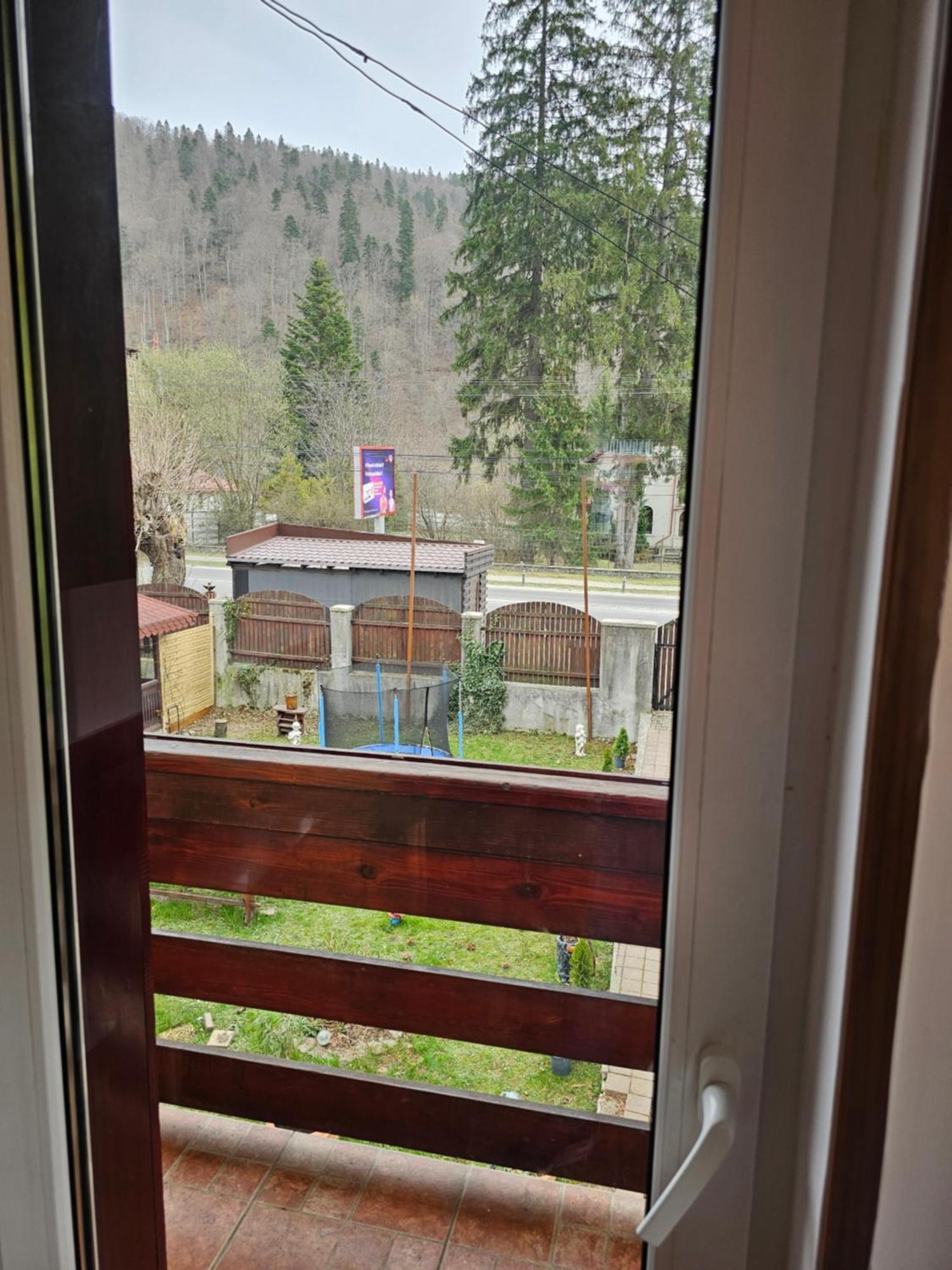Villa Foisor Buşteni Exterior foto